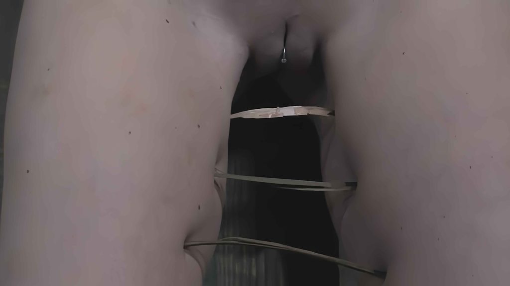 图片[4]-现场直播第2部分 巨乳设备束缚 重口SM-主奴社